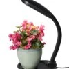 Agrobrite Desktop Plant Light -Backyard Bloomers 8592052 1704z hydrofarm cfl grow light flexible neck adjustable height