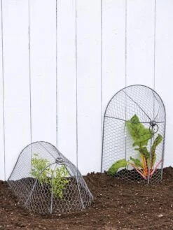 3-in-1 Chicken Wire Cloche -Backyard Bloomers 8592117 0188 tif