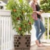 Gardener's Revolution® Tomato Planter -Backyard Bloomers 8592159 406 001E tif
