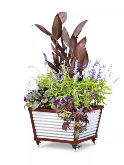 Galvanized Self-Watering Planters -Backyard Bloomers 8592176 5067 tif