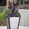 Galvanized Self-Watering Planters 2 Galvanized Self-Watering Planters -Backyard Bloomers 8592177 5062 tif