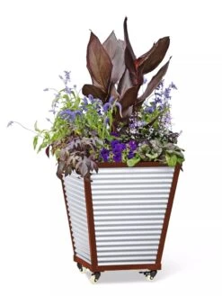 Galvanized Self-Watering Planters -Backyard Bloomers 8592177 5066 tif