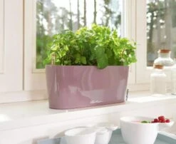 Lechuza® Delta Self-Watering Windowsill Planters -Backyard Bloomers 8592361 01V tif