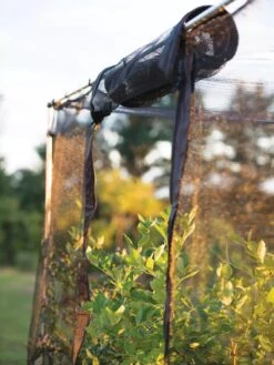 Storm Proof Crop Cage, Large -Backyard Bloomers 8592463 115 tif