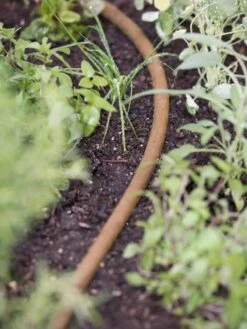 Premium 1/2" Soaker Hose -Backyard Bloomers 8592729 4918 tif