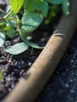 Premium 1/2" Soaker Hose -Backyard Bloomers 8592730 4933 tif