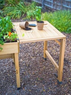 VegTrug® Side Table -Backyard Bloomers 8592870 004 tif