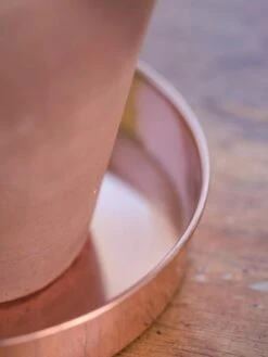 Extra Small Round Copper Plant Tray, 8" 11 Extra Small Round Copper Plant Tray, 8" -Backyard Bloomers 8593528 4529 tif