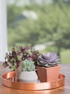 Large Round Copper Plant Tray, 14" -Backyard Bloomers 8593531 4518 tif