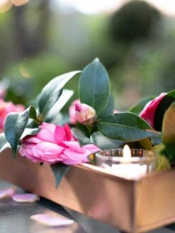 Rectangular Copper Plant Tray, 18"x4" -Backyard Bloomers 8593532 02IN tif