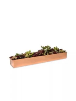 Rectangular Copper Plant Tray, 18"x4" -Backyard Bloomers 8593532 2892 tif