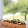 Rectangular Copper Plant Tray, 18"x4" -Backyard Bloomers 8593532 4632 tif