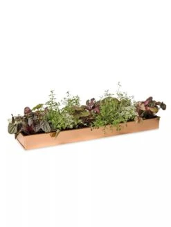 Rectangular Copper Plant Tray, 24" X 5" -Backyard Bloomers 8593533 2878 tif