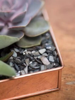 Rectangular Copper Plant Tray, 24" X 5" -Backyard Bloomers 8593533 4570 tif