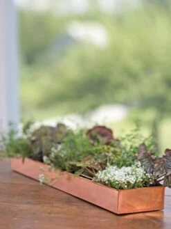 Rectangular Copper Plant Tray, 24" X 5" -Backyard Bloomers 8593533 4626 tif