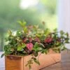 Tall Rectangular Copper Plant Tray, 18" X 5" X 4" 1 Tall Rectangular Copper Plant Tray, 18" X 5" X 4" -Backyard Bloomers 8593534 4617 tif