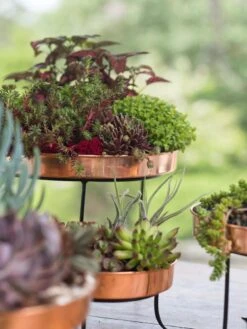 Small Round Copper Plant Tray, 10" -Backyard Bloomers 8593564 4399 tif