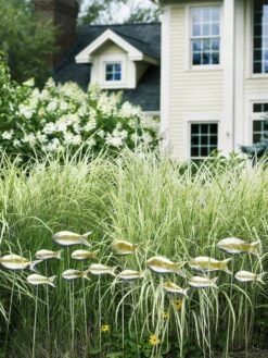 Fish Out Of Water Garden Stakes, Set Of 5 -Backyard Bloomers 8593672 9124 tif