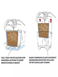 Pop-Out Pots, Set Of 4 13 Pop-Out Pots, Set Of 4 -Backyard Bloomers 8593943 2