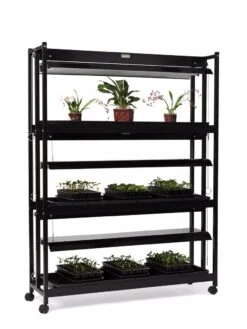 High Intensity 3-Tier SunLite® Garden -Backyard Bloomers 8593944 1608 tif