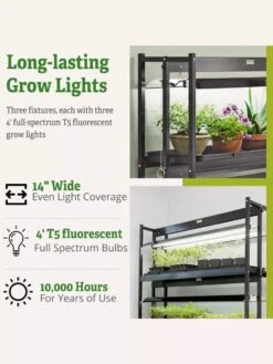 High Intensity 3-Tier SunLite® Garden -Backyard Bloomers 8593944 6