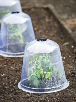 Large Garden Cloches, Set Of 3 -Backyard Bloomers 8593984 9432 tif