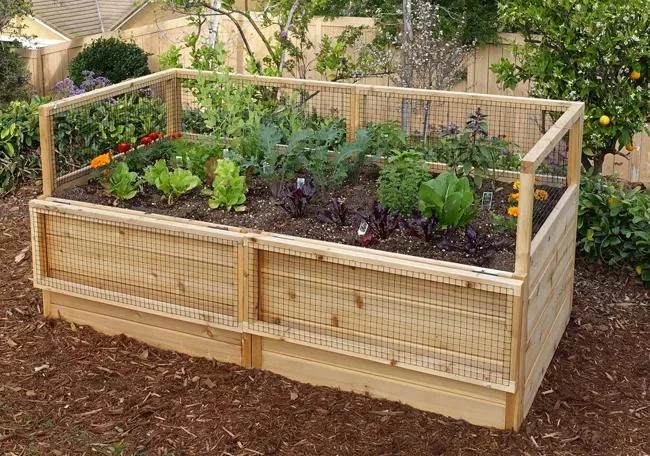 OLT Raised Cedar Garden Bed, 3' X 6' 5 OLT Raised Cedar Garden Bed, 3' X 6' - Image 3
