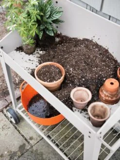 Demeter Potting Bench -Backyard Bloomers 8594007 0650 tif