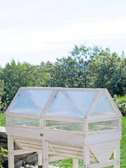 Cold Frame For VegTrug® -Backyard Bloomers 8594064 1244 tif