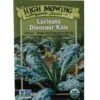 Lacinato Dino Kale Organic Seeds -Backyard Bloomers 8594082 9241 tif