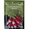 French Breakfast Radish Organic Seeds -Backyard Bloomers 8594086 9248 tif