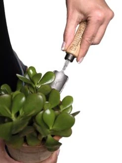 Gardener's Lifetime Mini Trowel 8 Gardener's Lifetime Mini Trowel -Backyard Bloomers 8594146 0111 tif
