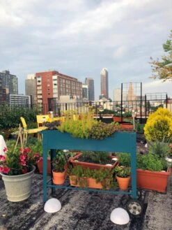 Demeter Mobile Planter Cart -Backyard Bloomers 8594148 01CUST tif