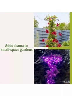 Essex Tuteur, 63" -Backyard Bloomers 8594162 3