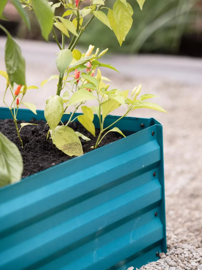 Demeter Corrugated Metal Raised Bed, 34" X 68" 8 Demeter Corrugated Metal Raised Bed, 34" X 68" - Image 6