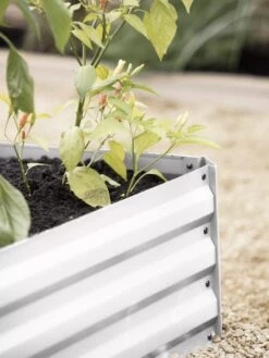 Demeter Corrugated Metal Raised Bed, 34" X 68" 14 Demeter Corrugated Metal Raised Bed, 34" X 68" -Backyard Bloomers 8594183 570 tif 1