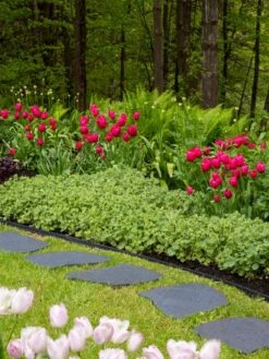 Recycled Rubber Flagstone Stepping Stone 18 Recycled Rubber Flagstone Stepping Stone -Backyard Bloomers 8594282 518 tif