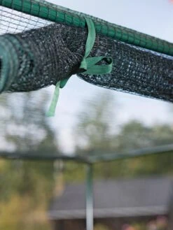 Pest-Free Garden 11 Pest-Free Garden -Backyard Bloomers 8594283 0190 tif