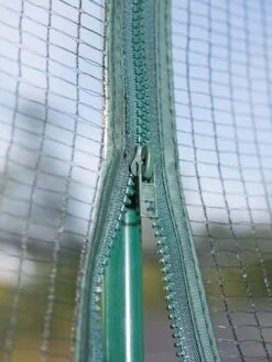 Pest-Free Garden 10 Pest-Free Garden -Backyard Bloomers 8594283 0195 tif