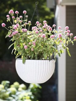 Weave Self-Watering Hanging Basket, 10" 6 Weave Self-Watering Hanging Basket, 10" -Backyard Bloomers 8594316 824 tif