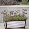 Short Galvanized Self-Watering Trough Planter -Backyard Bloomers 8594329 5064 tif