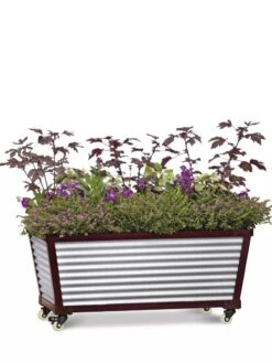Short Galvanized Self-Watering Trough Planter -Backyard Bloomers 8594329 5065 tif