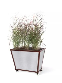 Tall Galvanized Self-Watering Trough Planter -Backyard Bloomers 8594330 8541 tif
