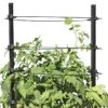 Gardener's Revolution® Classic Tomato Extension -Backyard Bloomers 8594367 0047 001E gardeners revolution classic tomato cage extension tif