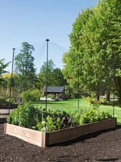 Protection Stakes For Netting, Set Of 4 -Backyard Bloomers 8594434 0015 tif