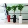 Lechuza® Rondo Self-Watering Planters 1 Lechuza® Rondo Self-Watering Planters -Backyard Bloomers 8594586 01V tif