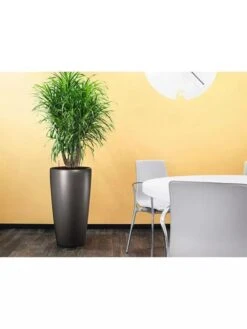 Lechuza® Rondo Self-Watering Planters -Backyard Bloomers 8594586 02V tif