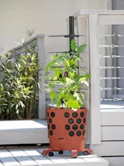 Gardener's Revolution® Tomato Planter -Backyard Bloomers 8594743 2618 tif