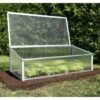 Bioprotect Year-Round Cold Frame -Backyard Bloomers 8595055 003V 001E tif