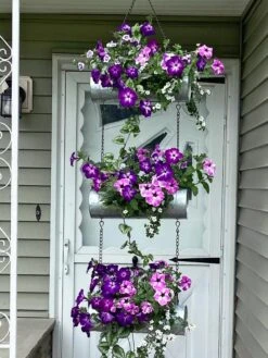 Galvanized Hanging Triple Planter -Backyard Bloomers 8595213 02CUST tif